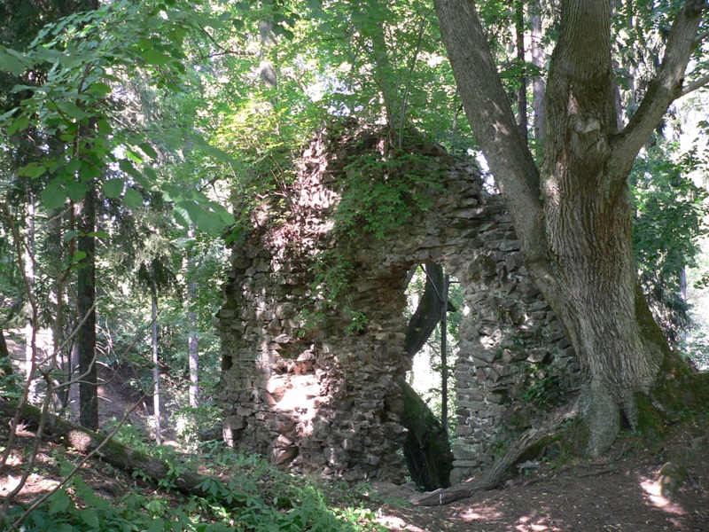 Zřícenina hradu Ronov nad Sázavou vysocina eu