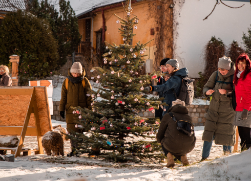 Adventní trhy a Stromeček splněných přání