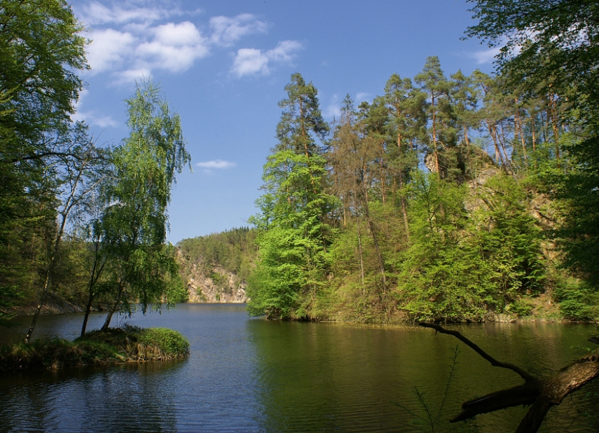 Zřícenina hradu Holoubek