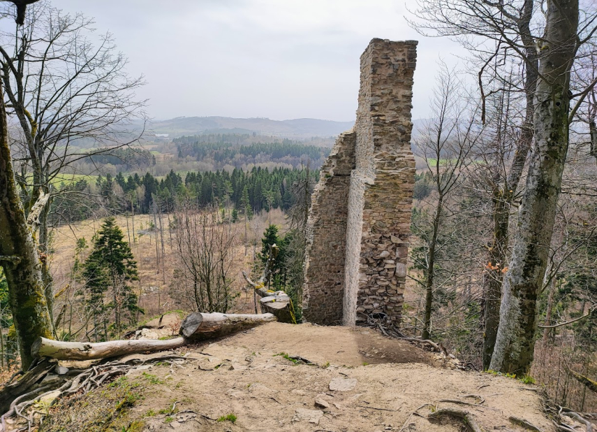 Zřícenina hradu Štamberk