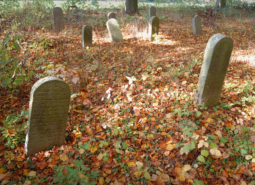 Jewish cemetery - typhus Havlíčkův Brod