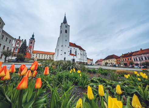 Trojlístek architektury