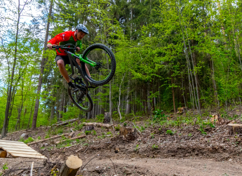 The best biking trails in the Vysocina Region